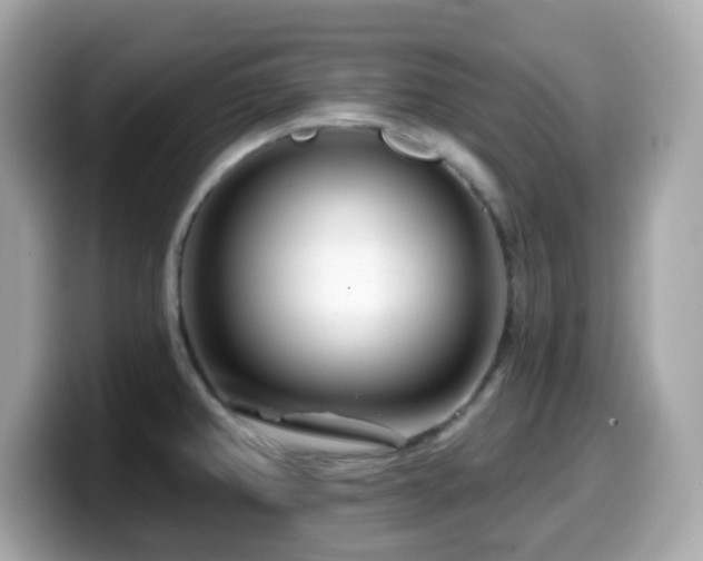 X0000099971382200805231356