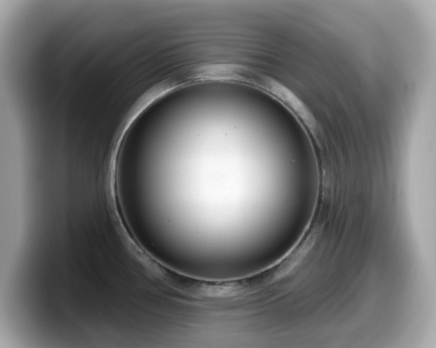 X0000099971386200805231356