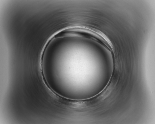 X0000099971388200805231356