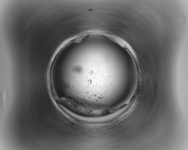 X0000099971389200805231356