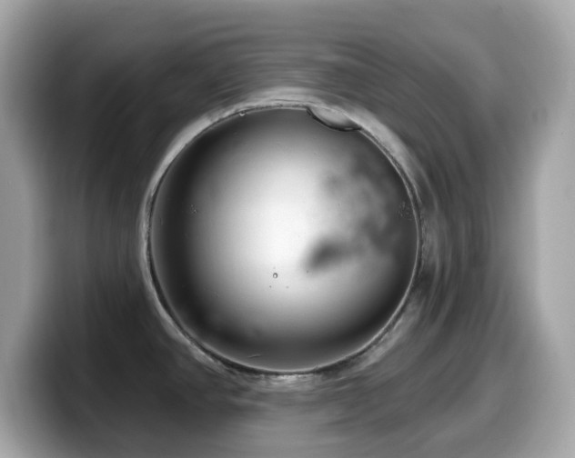 X0000099971390200805231356