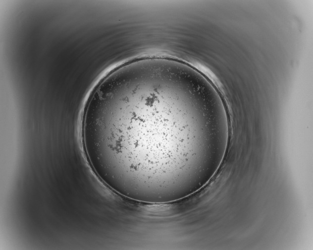 X0000099971392200805231356