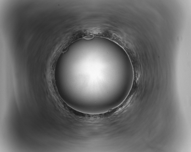 X0000099971393200805231355