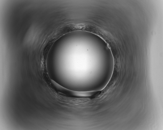 X0000099971394200805231355
