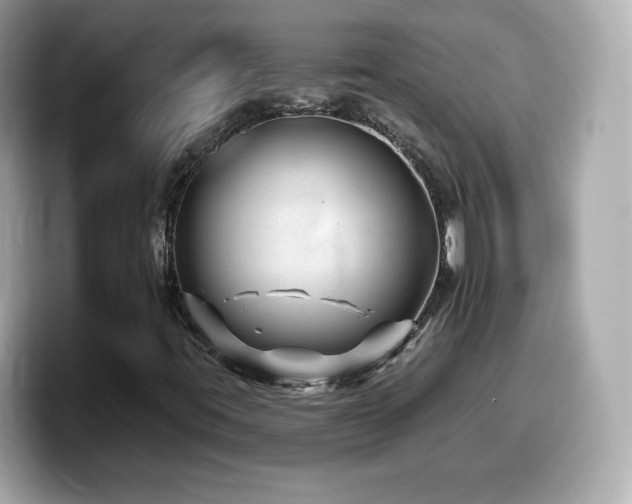 X0000099971395200805231355