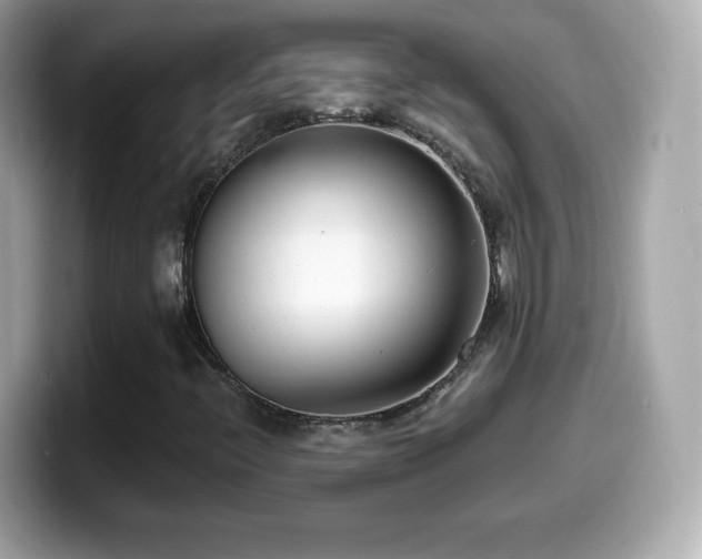 X0000099971396200805231355