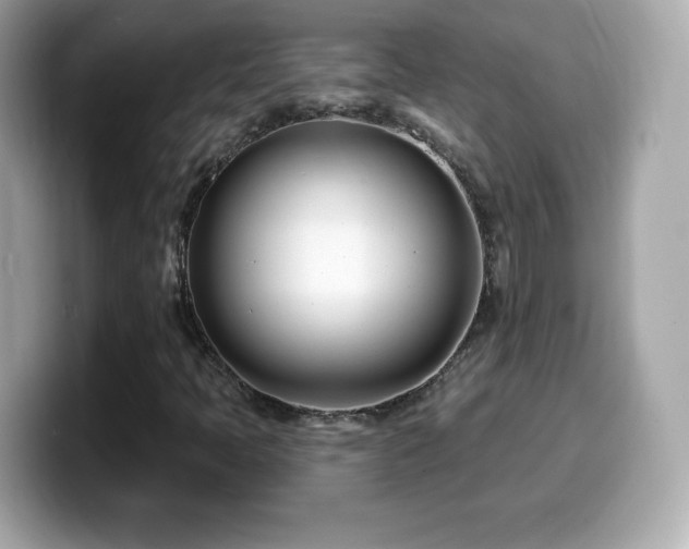 X0000099971397200805231355