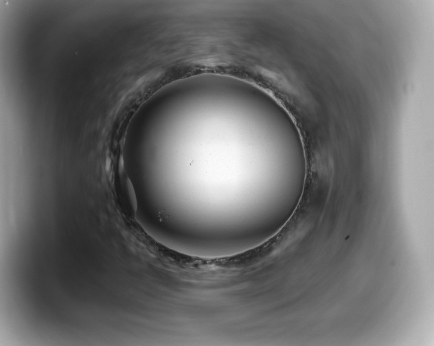 X0000099971398200805231355