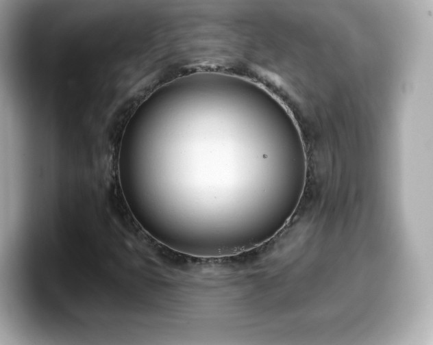 X0000099971399200805231355