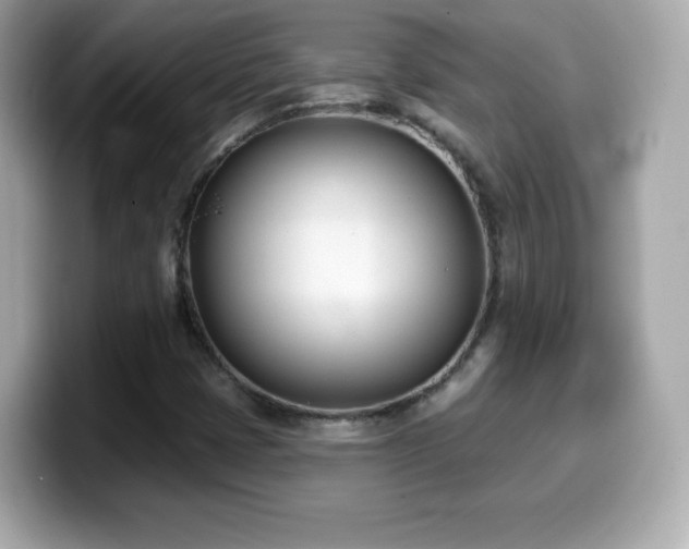 X0000099971401200805231355