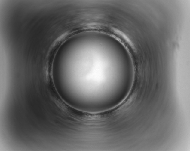 X0000099971403200805231355