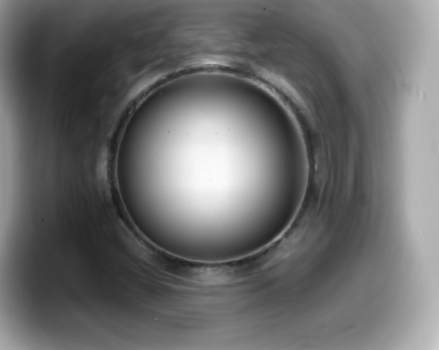 X0000099971404200805231355