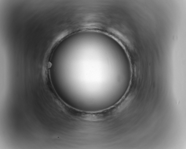 X0000099971405200805231355
