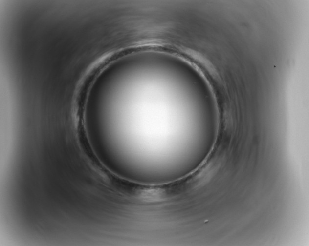 X0000099971406200805231355