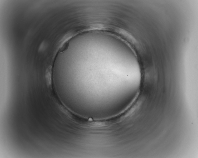 X0000099971409200805231356