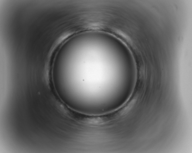 X0000099971410200805231356
