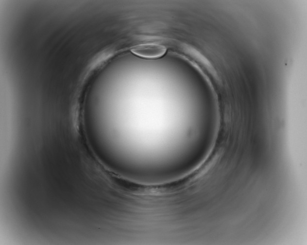 X0000099971411200805231356