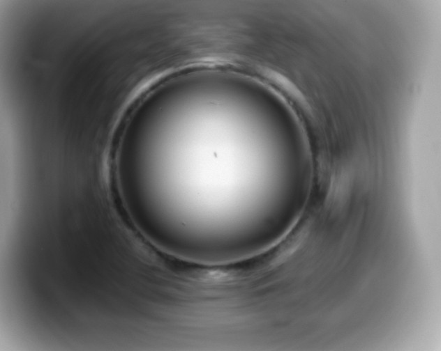 X0000099971412200805231356