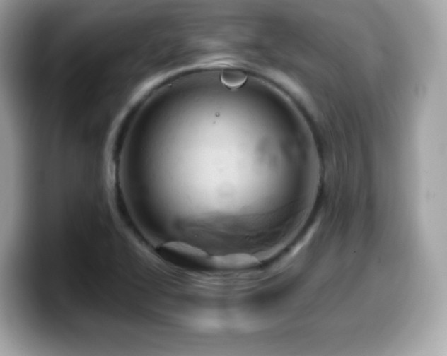 X0000099971414200805231356