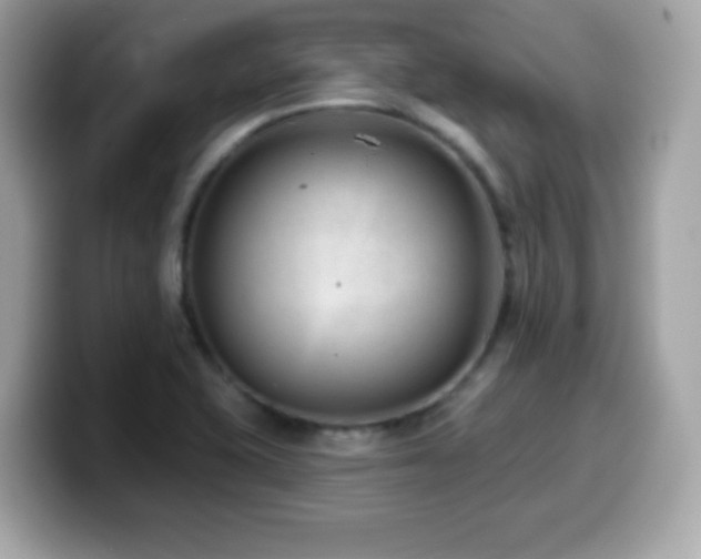 X0000099971415200805231356
