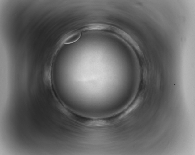 X0000099971417200805231356