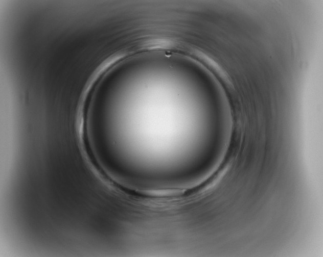 X0000099971418200805231356
