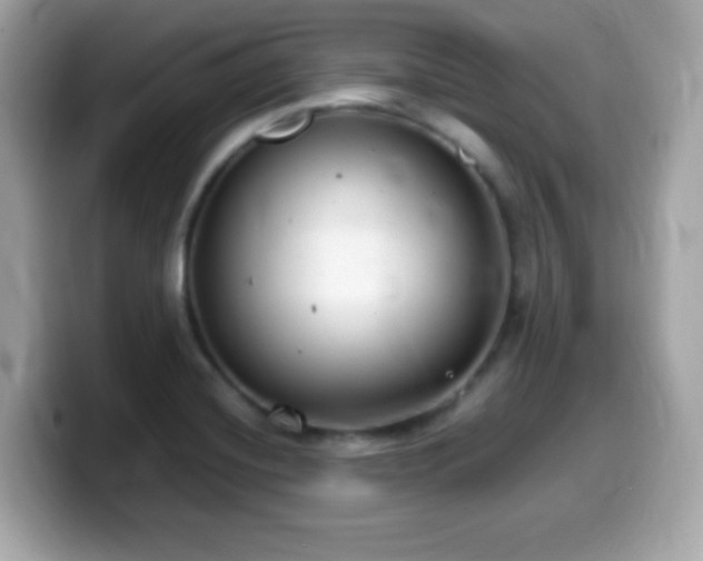 X0000099971420200805231356