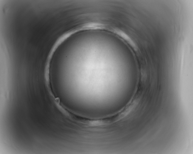 X0000099971421200805231356