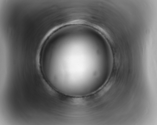 X0000099971422200805231356