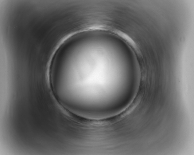 X0000099971423200805231356