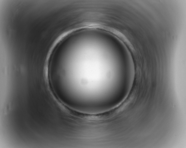 X0000099971424200805231356