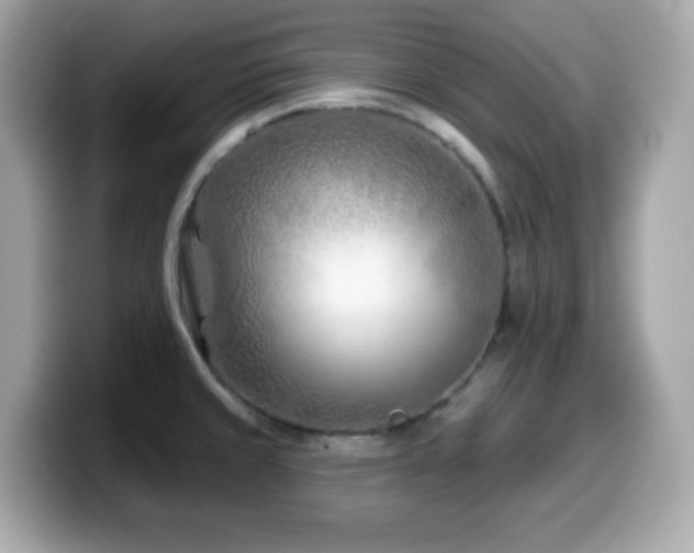 X0000099971429200805231356