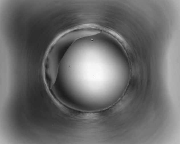 X0000099971430200805231356