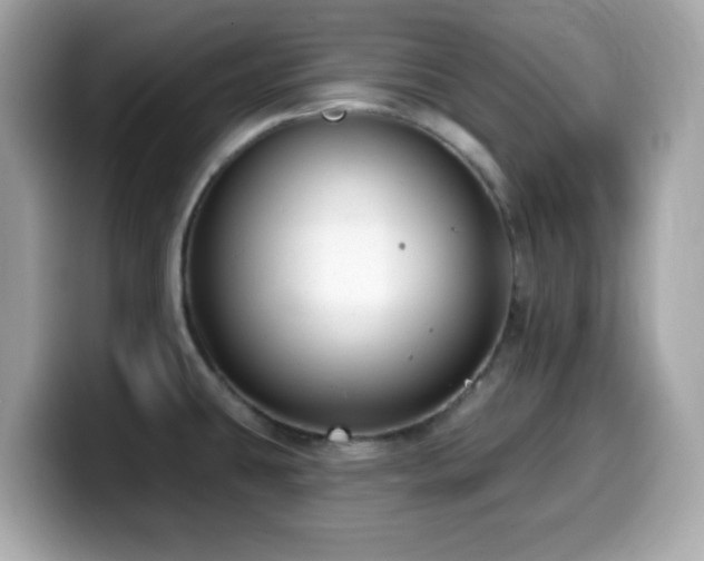 X0000099971431200805231356