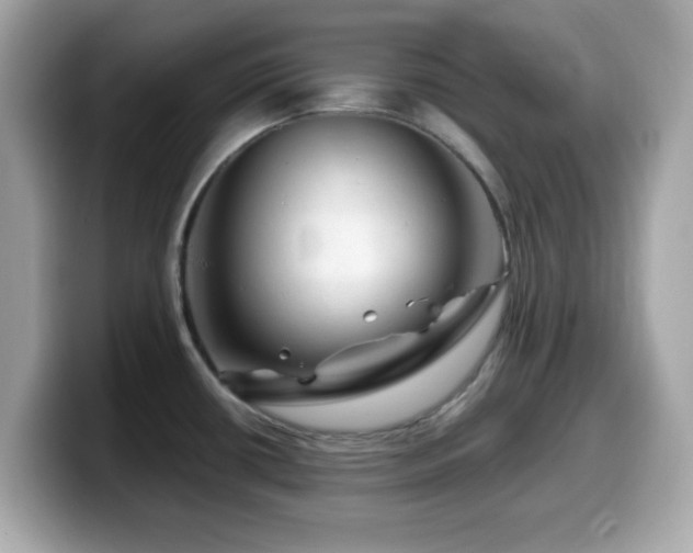 X0000099971434200805231356