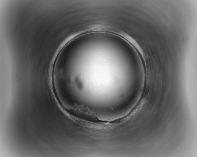 X0000099971437200805231356