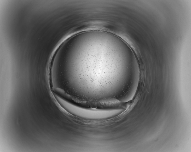 X0000099971438200805231356