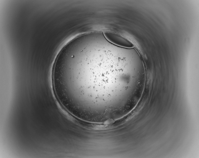 X0000099971439200805231356