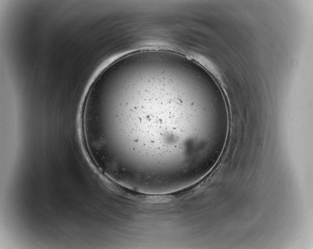 X0000099971440200805231356
