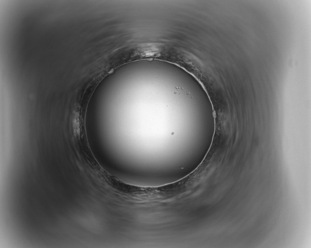 X0000099971442200805231355