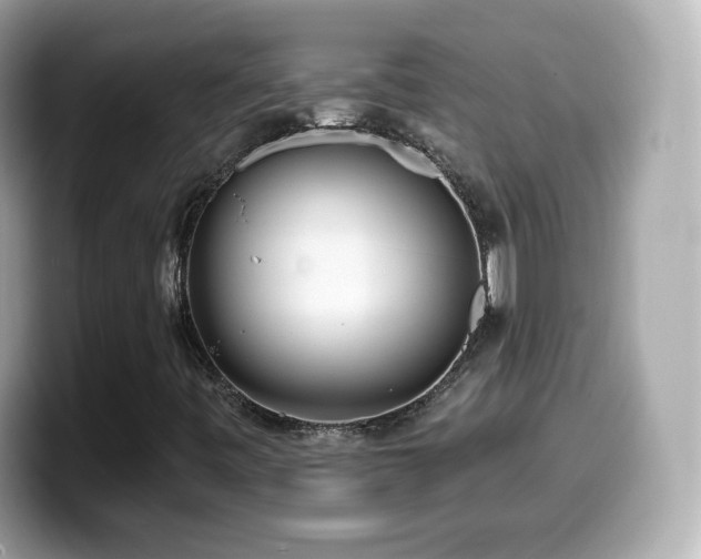 X0000099971443200805231355