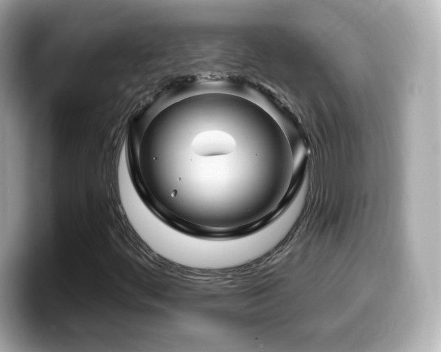 X0000099971444200805231355