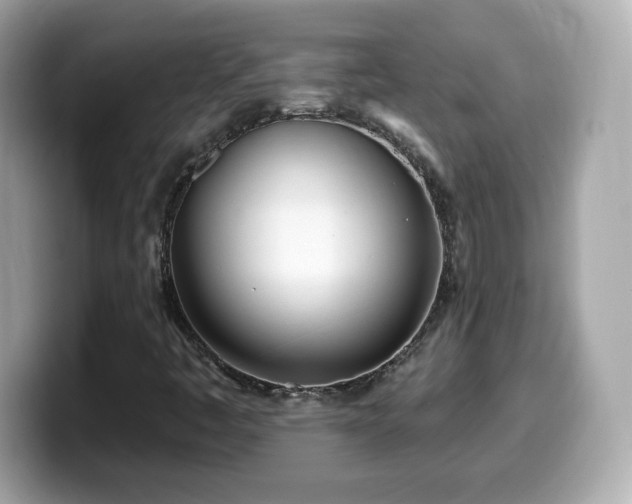 X0000099971445200805231355