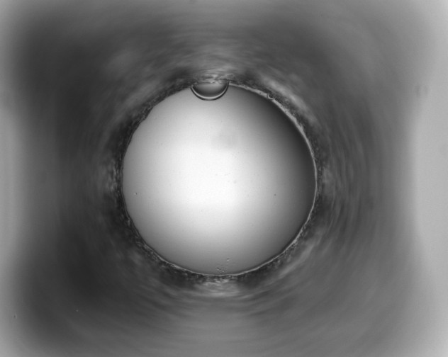 X0000099971447200805231355