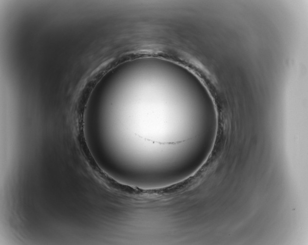 X0000099971448200805231355