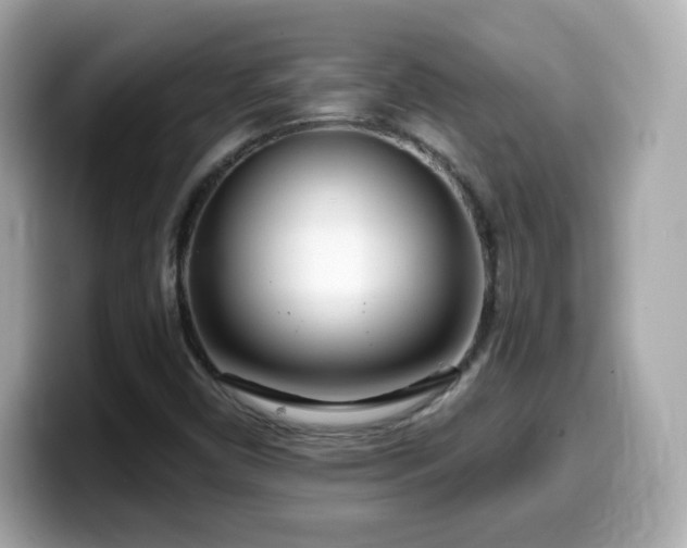 X0000099971450200805231355