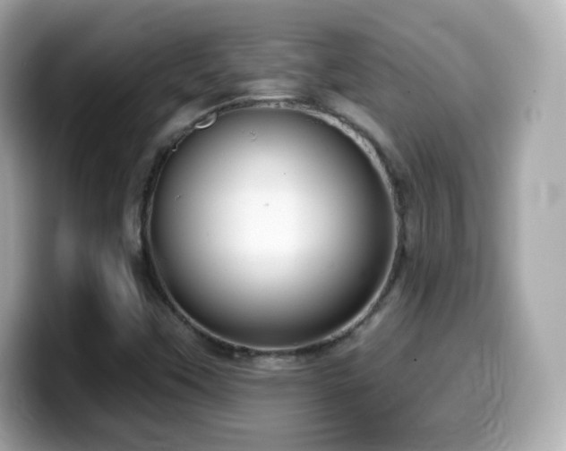 X0000099971451200805231355