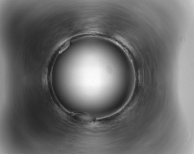 X0000099971452200805231355