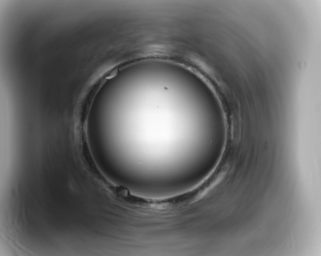 X0000099971453200805231355