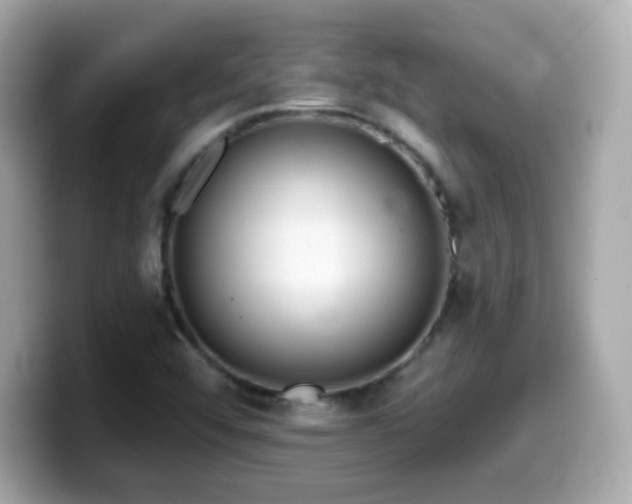 X0000099971456200805231355
